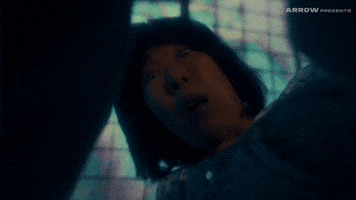 Takashi Shimizu Horror GIF by Arrow Video