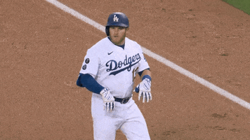 Los Angeles Baseball GIF by MLB