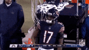 2018 Nfl Football GIF by NFL