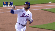 Home Run Baseball GIF by SNY