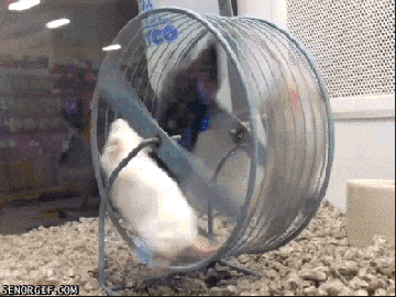 Mouse Wheel GIF