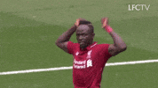 Football Soccer GIF by Liverpool FC
