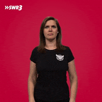 Swr3 What GIF