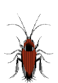 Cockroach Sticker by Platforma Doma mladih