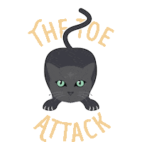 Sleepy Black Cat Sticker by Sheba Official