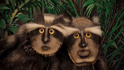 dghld2fybg9yzgnaewfob28uy29t giphygifmaker head banging facebook meta racoons meta GIF