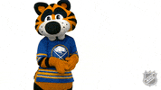 Ice Hockey Sport GIF by NHL