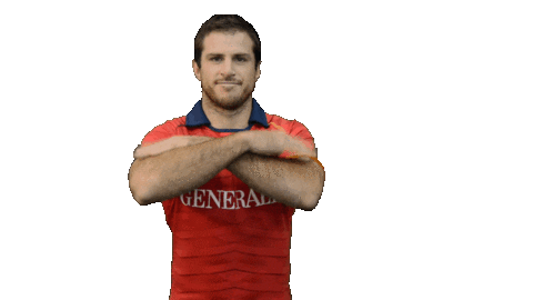 Fer Leones Sticker by FERugby