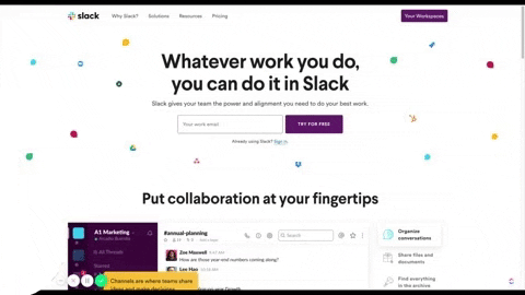 beverlybean giphygifmaker GIF