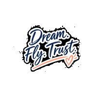 Follow Your Dreams Fly Sticker