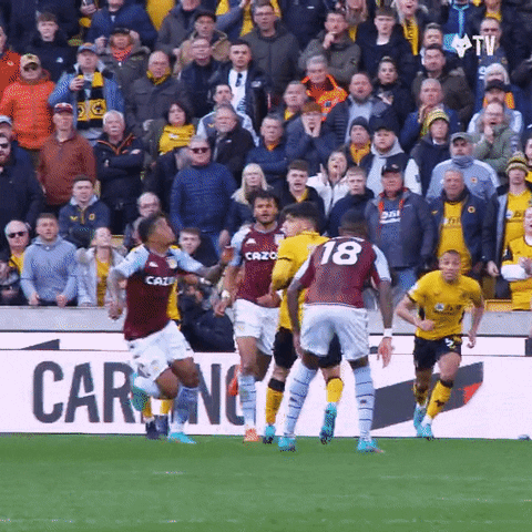 Premier League Yes GIF by Wolves
