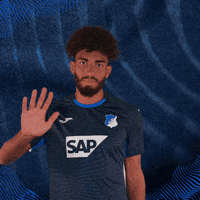 Sport Bundesliga GIF by TSG Hoffenheim