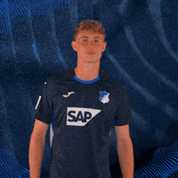 Sport Bundesliga GIF by TSG Hoffenheim