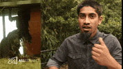 American Sign Language Gorilla GIF by ASL Connect