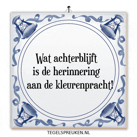 Moment Nl GIF by Tegelspreuken.nl