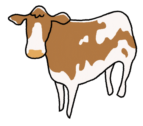 Cow Sticker by MASTERPIECE | PBS
