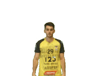 Sport Handball Sticker by Hazebrouckhandball