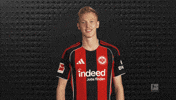 Eintracht Frankfurt GIF by Bundesliga