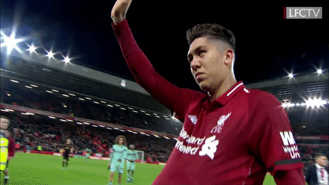 premier league love GIF by Liverpool FC