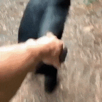 GIF by madmoiZelle