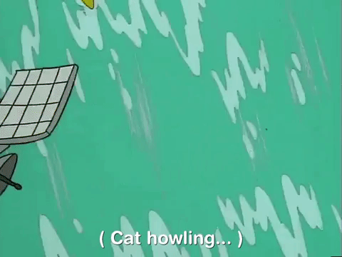 nicksplat GIF