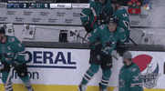 ice hockey hug GIF by NHL