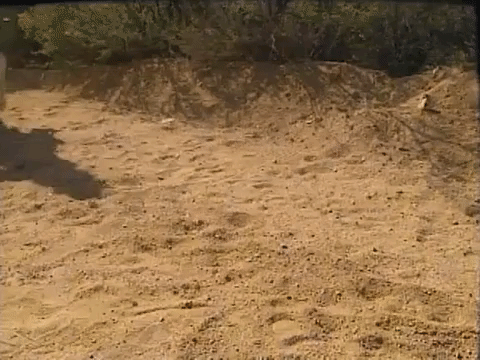 hey dude nicksplat GIF