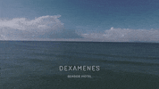 beach sea GIF by Dexamenes Seaside Hotel