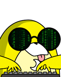 Crypto Programar Sticker