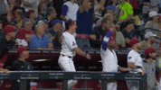 Celebrate Arizona Diamondbacks GIF by MLB