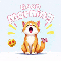 goodvibewishes good morning cat funny cat good morning cat morning memes adorable cat good morning GIF