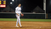 usssapride softball fastpitch usssa npf GIF