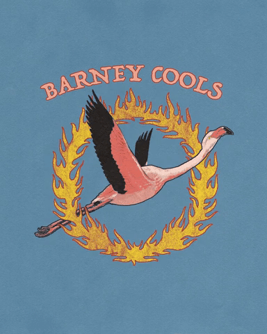 Barney Cools Flaming Flamingo