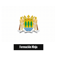Flag Spain Sticker by Formación Ninja