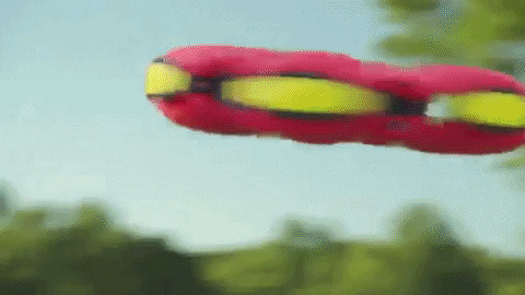 helenecastro giphyupload GIF