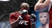 the ultimate fighter ufc GIF
