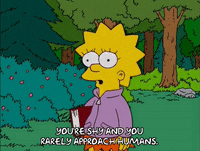 lisa simpson episode 13 GIF