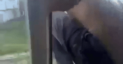 ну че народ погнали нахуй GIF