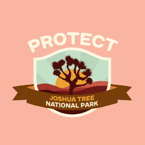 Digital art gif. Inside a shield insignia is a cartoon image of a Joshua tree in shadow against a rising sun. Text above the shield reads, "protect." Text inside a ribbon overlaid over the shield reads, "Joshua Tree National Park," all against a pale pink backdrop.