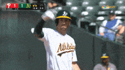 Celebrate Major League Baseball GIF by Oakland Athletics