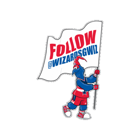 Washington Dc Basketball Sticker by G-Wiz