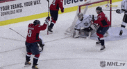 Celebrate Ice Hockey GIF by NHL