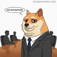 Work Smile GIF by Doge Pound