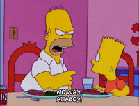homer simpson no GIF