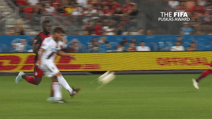 soccergator giphyupload GIF