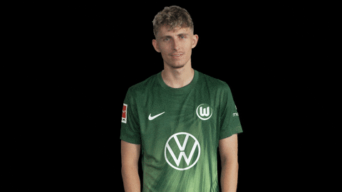 Bundesliga Vflgif GIF by VfL Wolfsburg