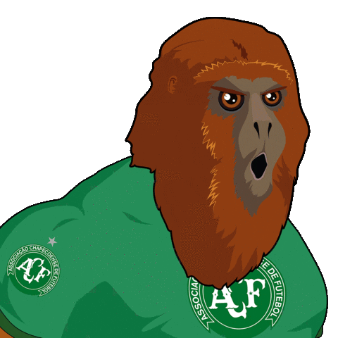 grupobugio giphyupload chapecoense grupobugio bugio Sticker