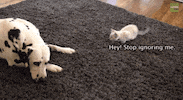 stop GIF