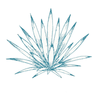 Mezcal Agave Sticker by Santa Sabia Media