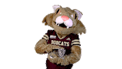 Boko Sticker by Texas State University